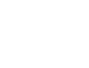 Bliss Prime Properties